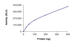 Sino Biological&nbsp;Recombinant Human MLL3/KMT2C Protein (GST Tag), Active